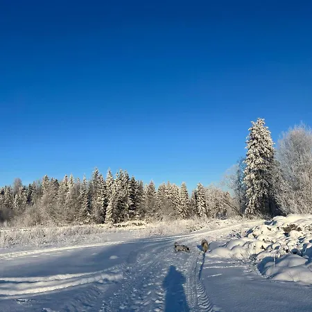Pokoje U Danusi Czarna Gora Exterior photo