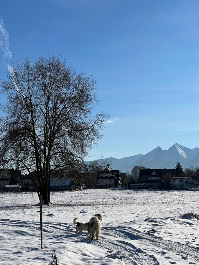 Homestay U Danusi Czarna Gora